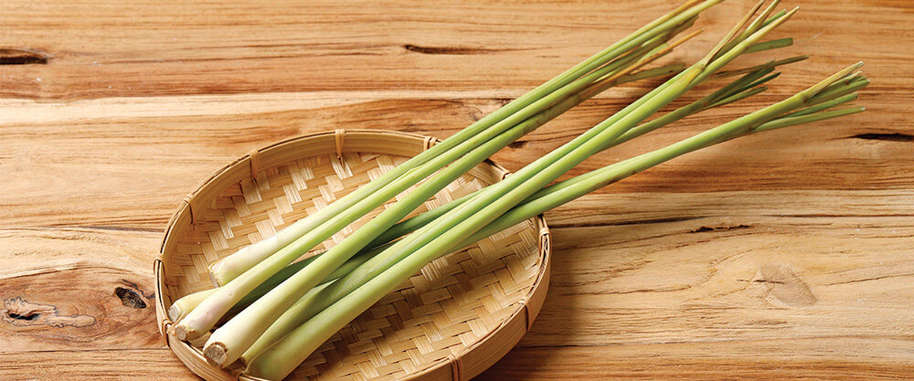 Lemongrass – what are its properties?