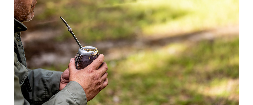 Yerba mate - what is it?