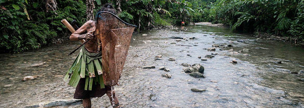 Guarani Indians - pioneers of yerba mate