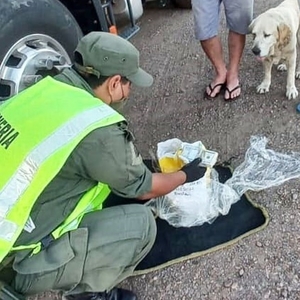 An unusual discovery by Argentinian customs officials. Thousands of dollars in a yerba mate truck!