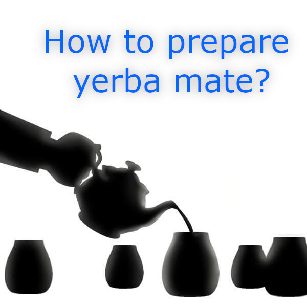 Yerba mate - what is it and how to brew it? - Blog