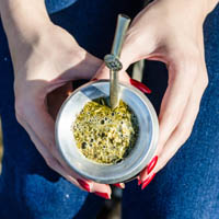 What is yerba mate?