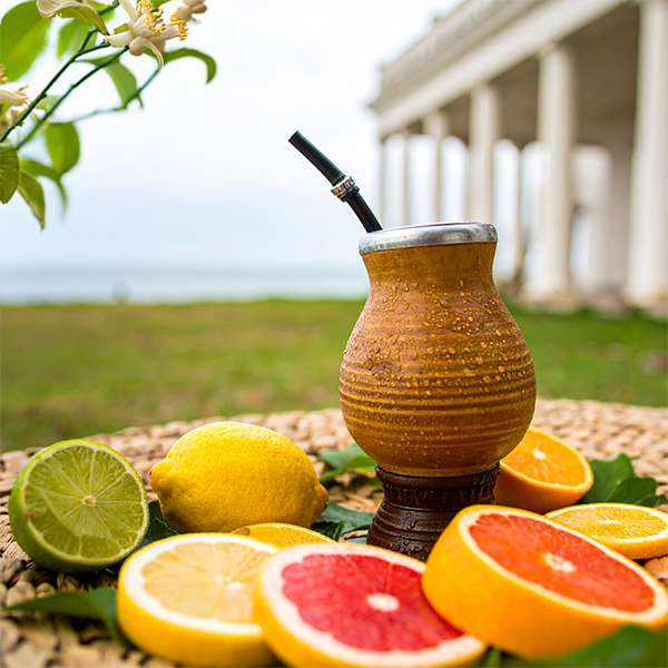 Yerba mate and citrus – discover the taste of summer in your mate gourd!
