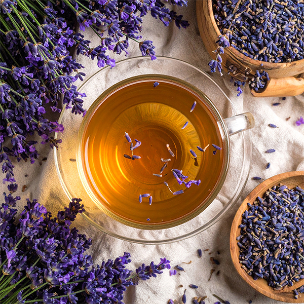 A natural way to relax? Lavender! Properties and uses