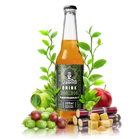 Fruit Drink Guarani Mentha & Boldo 330ml