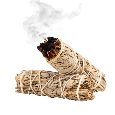 Gift Set Palo Santo + White Sage Incense