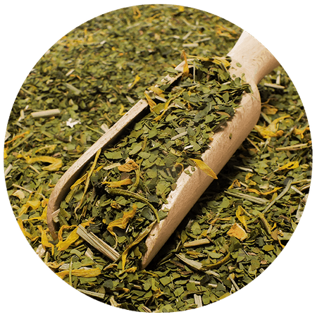 Trio Yerba Verde Mate on START for beginners