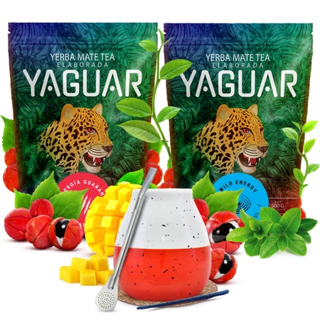 Yerba mate set Yaguar ceramic calabash bombilla