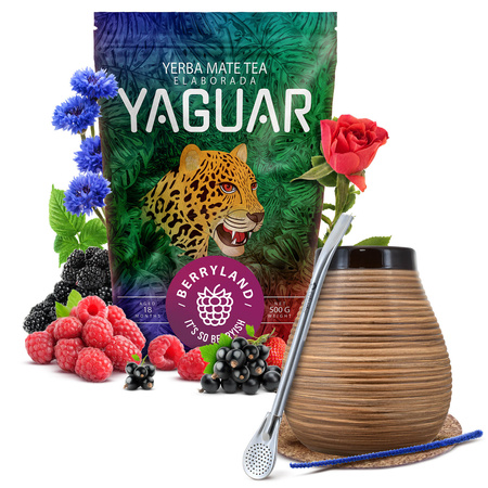 Yerba Mate Yaguar Berryland Starter Set 500g