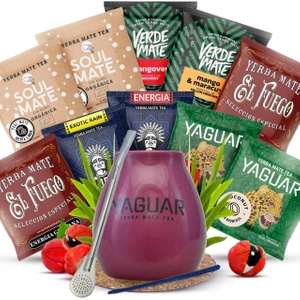 Yerba Mate Tykva Bombilla Starter Kit 10x50g