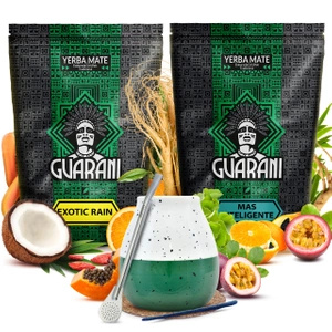 Yerba mate set Guarani ceramic calabash bombilla