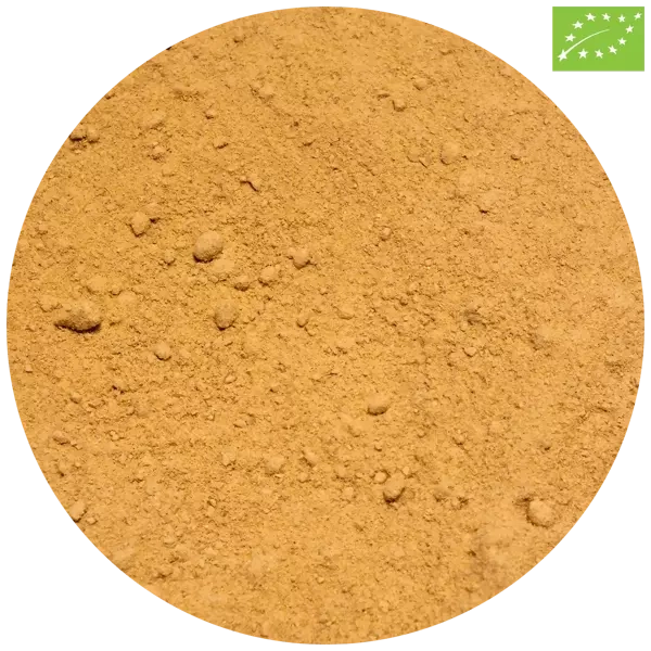 Vivarini - Ginger organic (ground) 50g