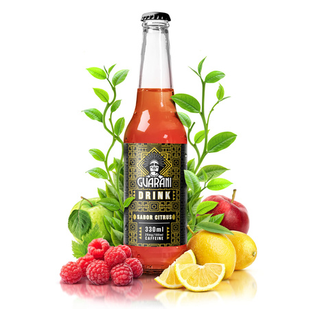 Fruit Drink Guarani Sabor Citrus 330ml