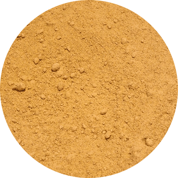 Vivarini – Ginger (ground) 50g