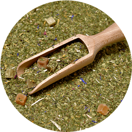 Trio Yerba Verde Mate on START for beginners