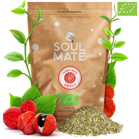 Set Yerba Soul Mate Bombilla Mate Cup for two